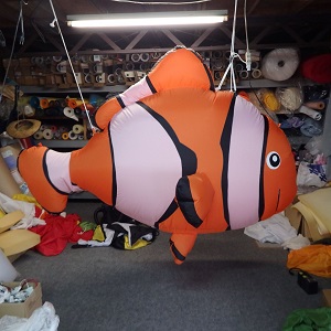 クマノミ クマノミ