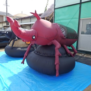 カブトムシ