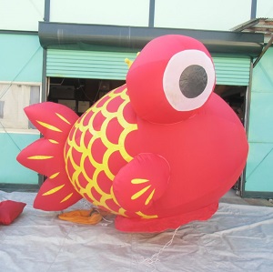 でめきん赤 でめきん赤