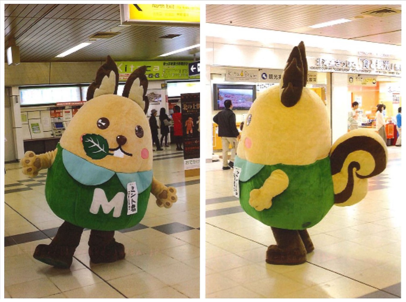 製作事例：ミントくんドーム - ゆめをつくる会社－株式会社クエスト