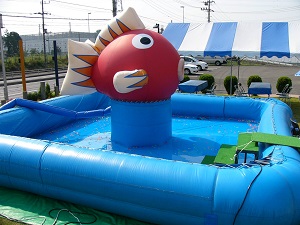 6ｍプール　金魚付